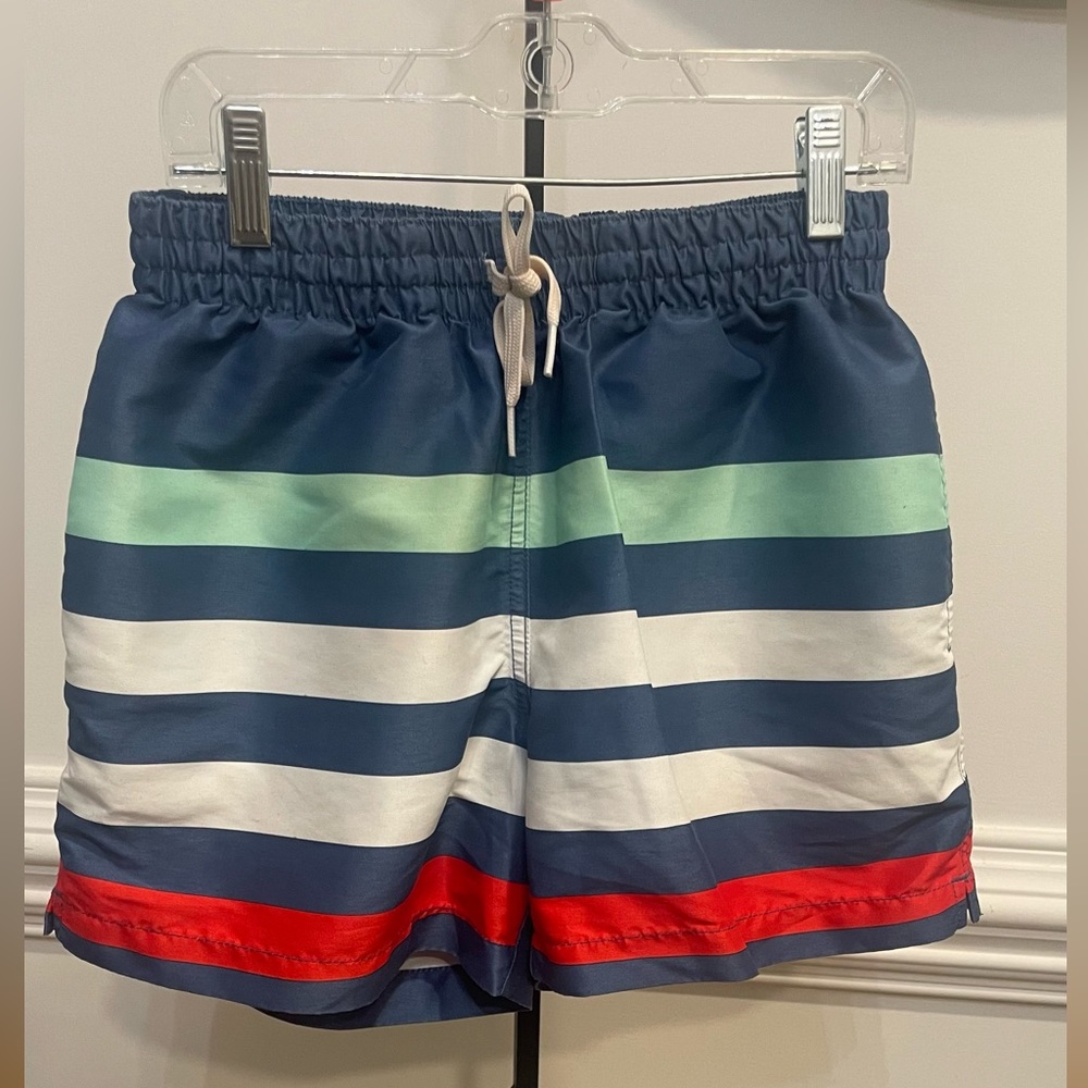Chubbies, Men's Me Likey the Stripey 4”Swim Shorts 🩳 (Deep Blue/) Sz S
